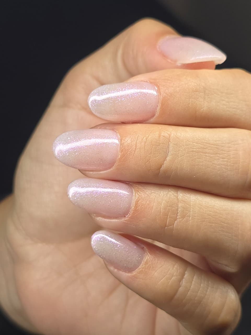 WhatsApp Image 2026-01-03 at 11.49.09 (1)