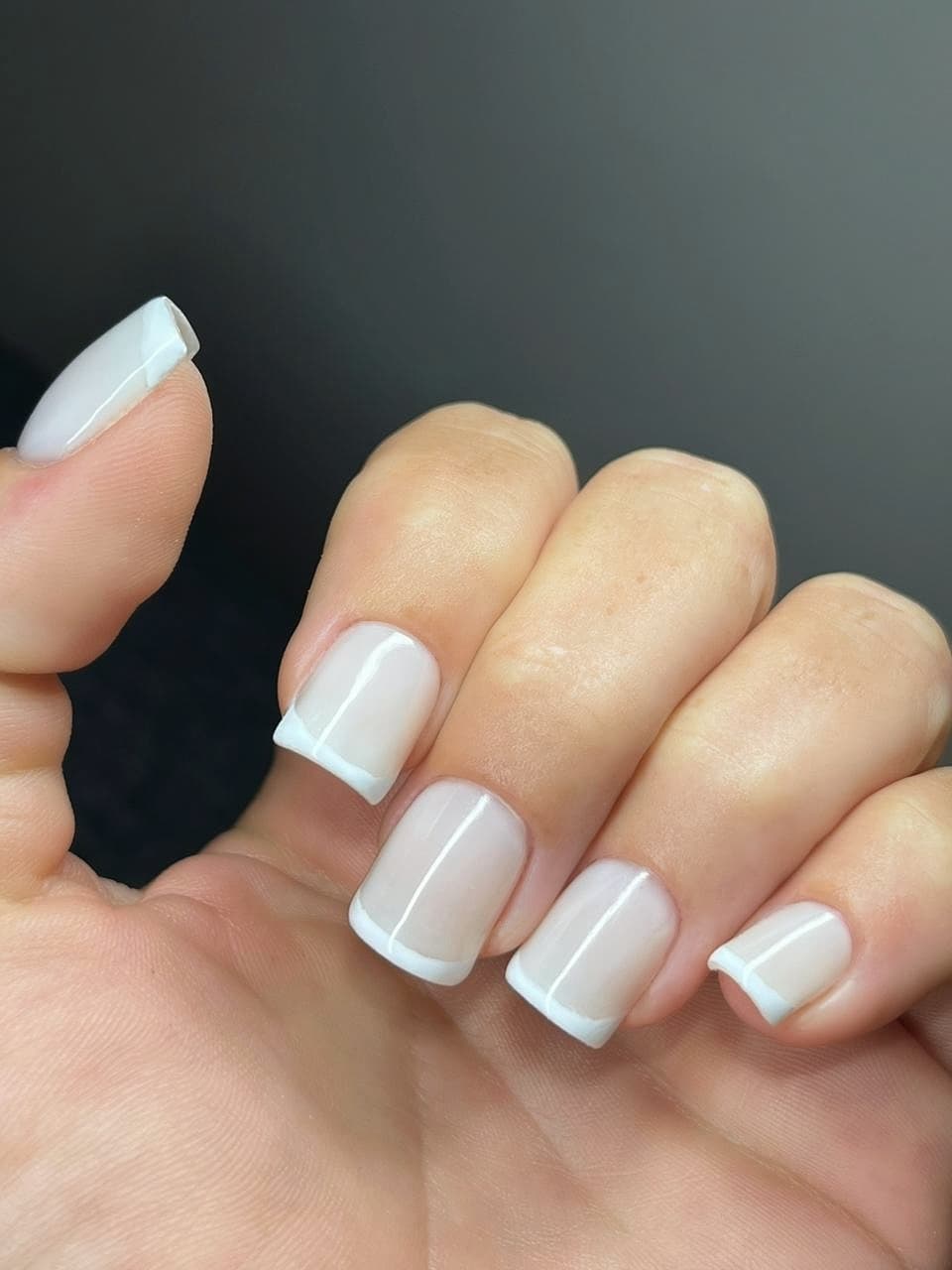 WhatsApp Image 2026-01-03 at 11.49.09